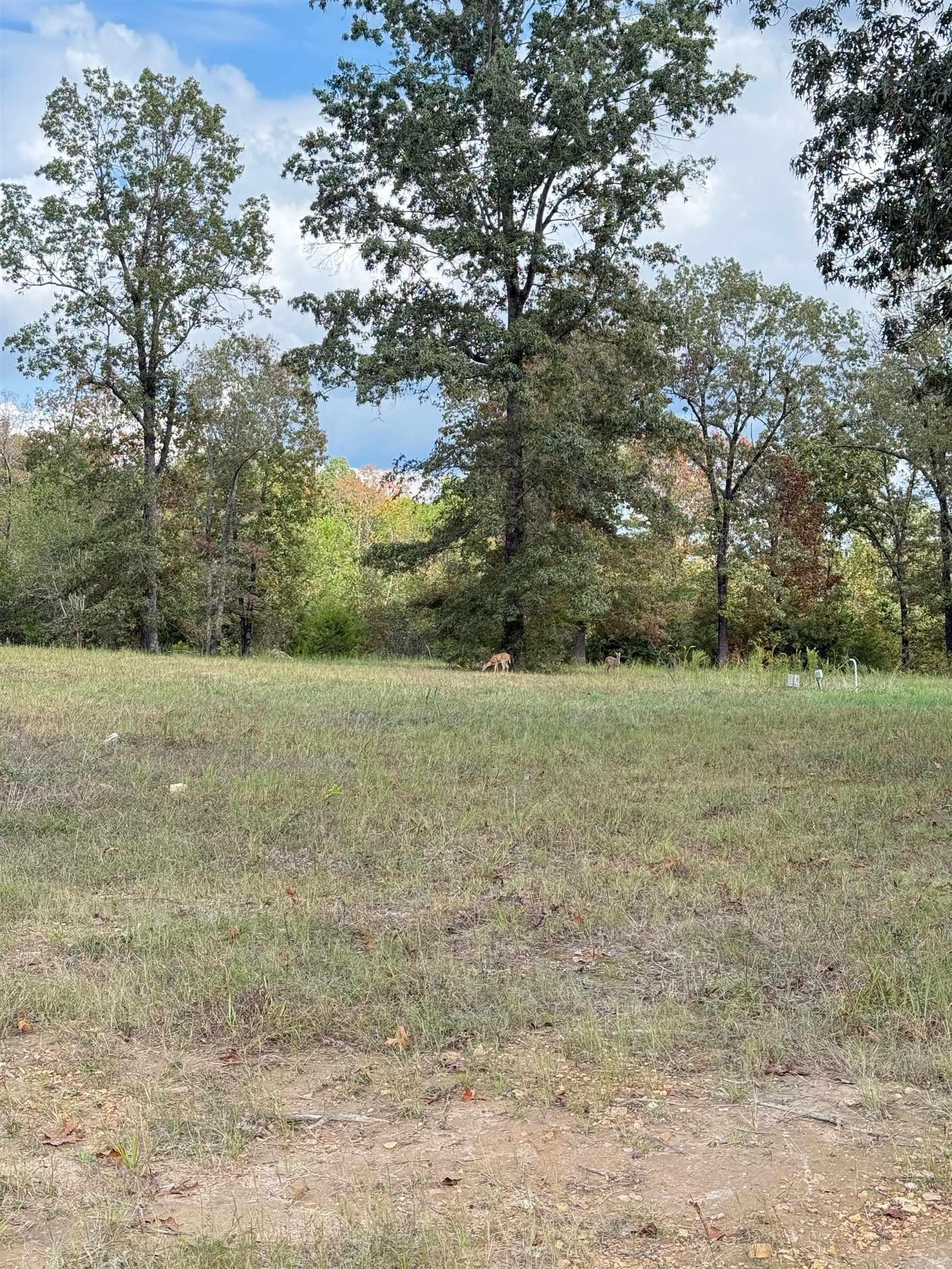 0 Young Rd  Salem, AR