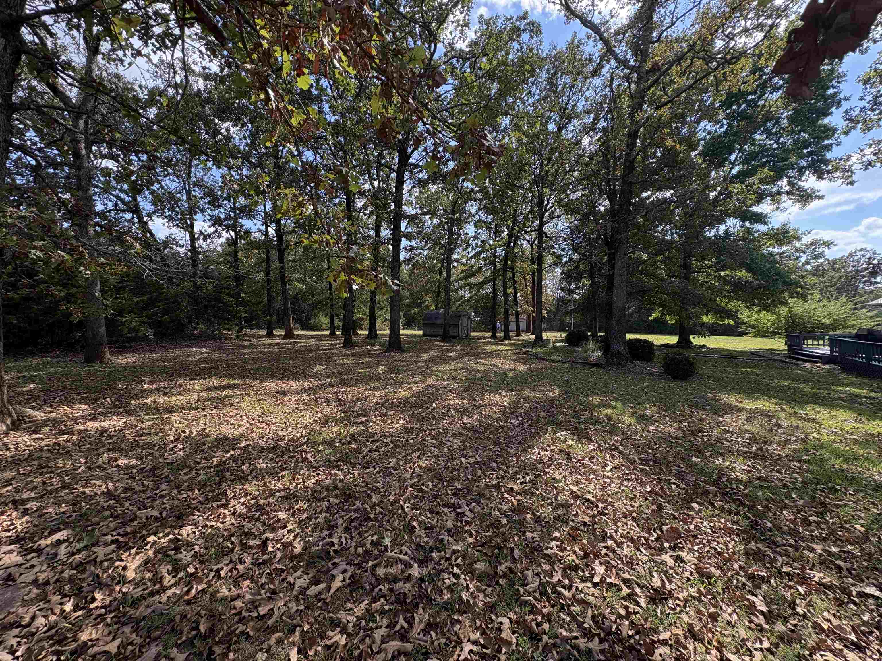 280 AR Hwy 56  Ash Flat, AR