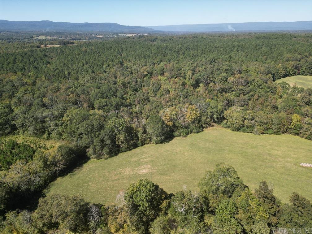 1337 Polk Road 38  Hatfield, AR