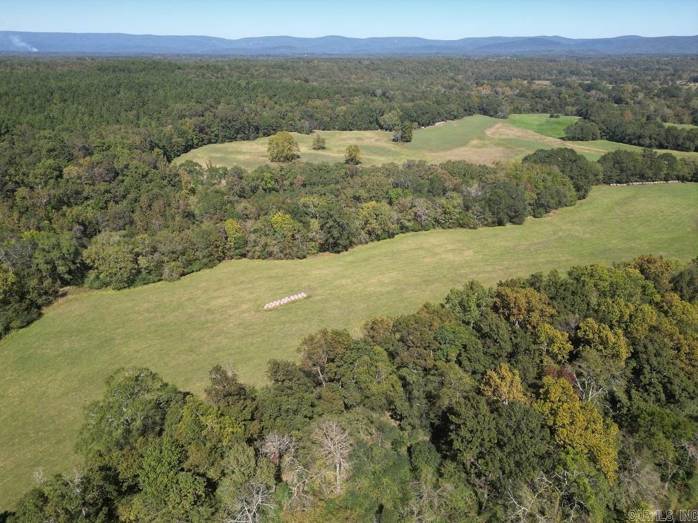 1337 Polk Road 38  Hatfield, AR