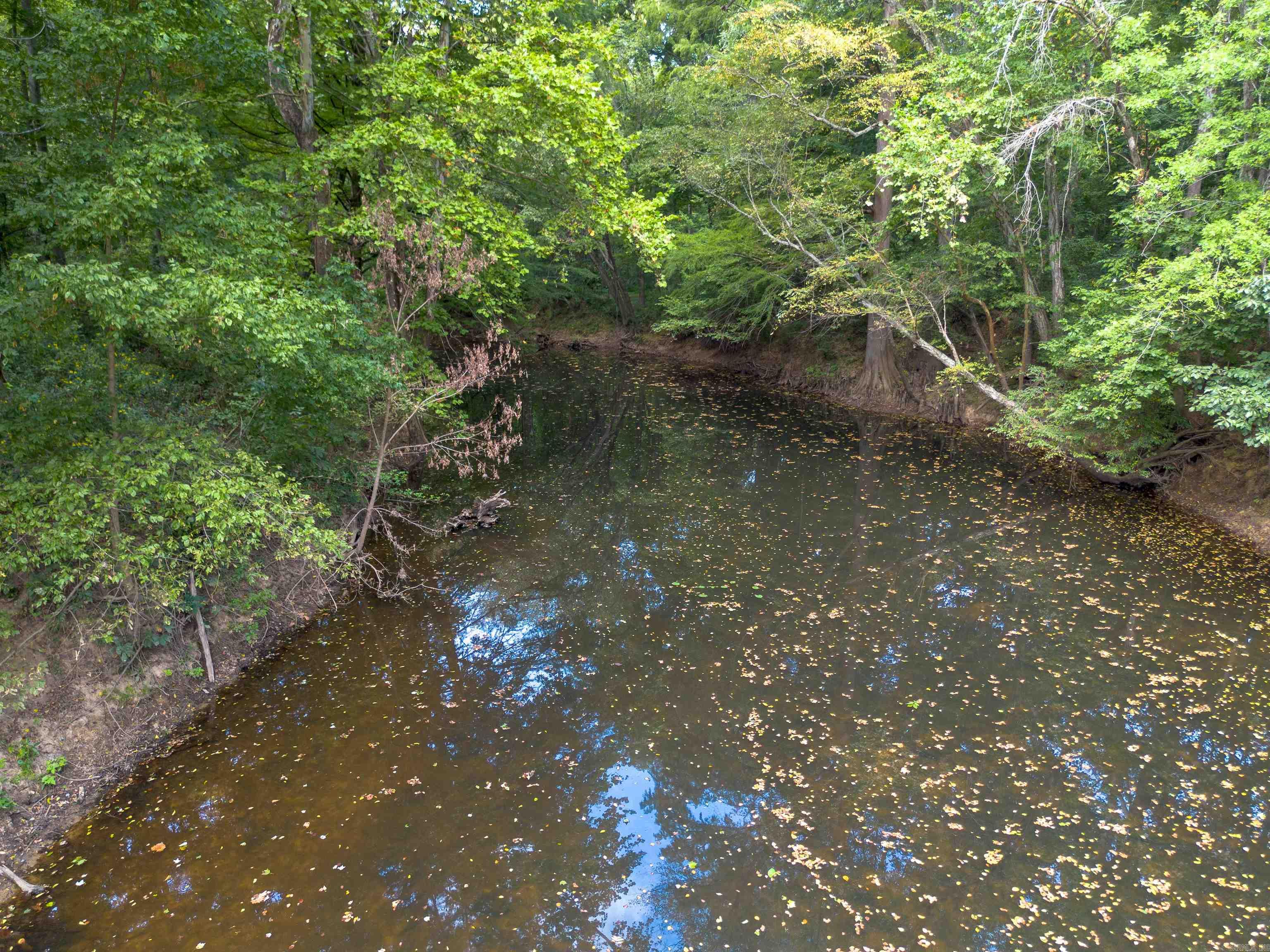 550 Sunshine Ln.  Pangburn, AR