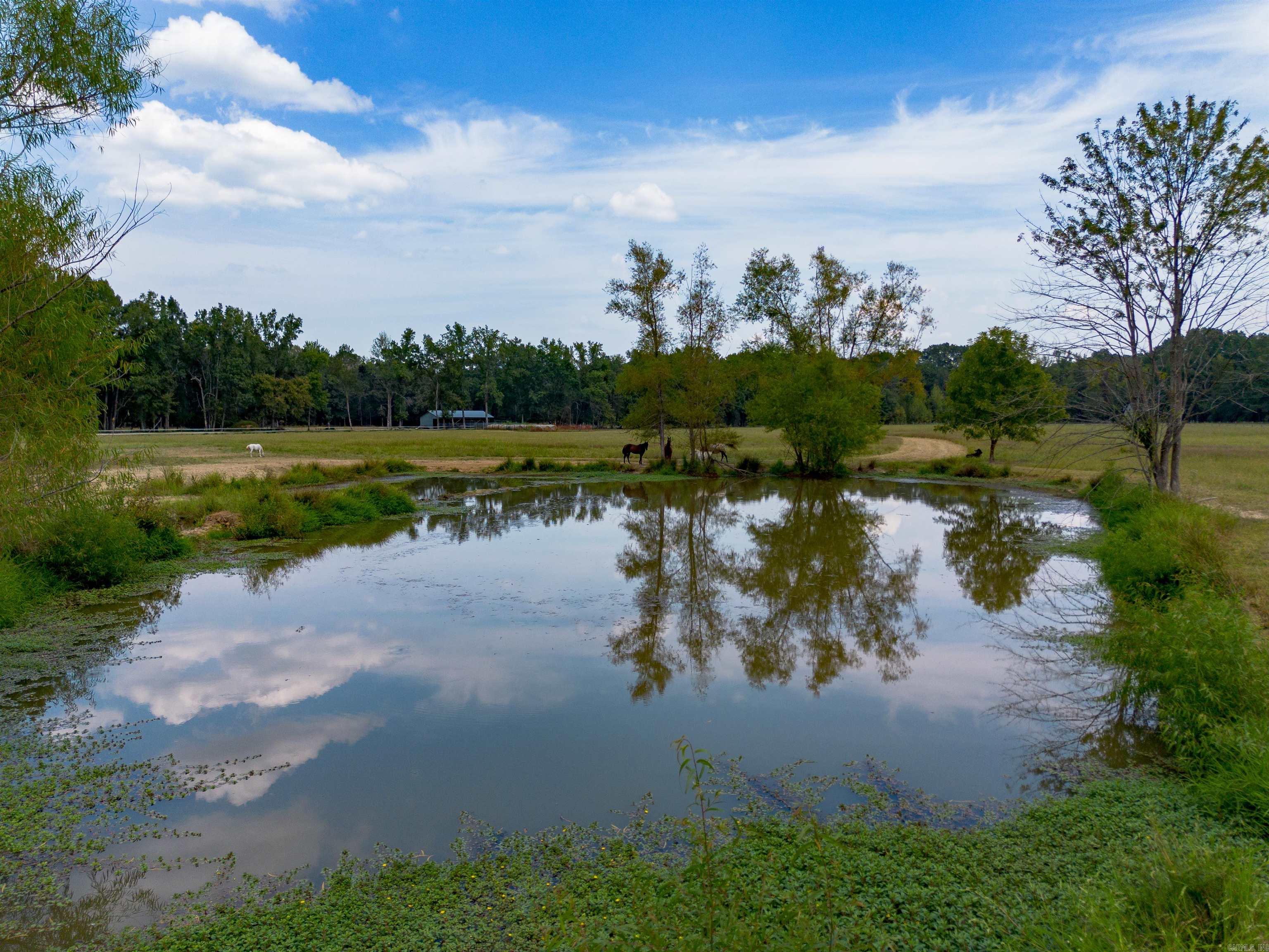 550 Sunshine Ln.  Pangburn, AR