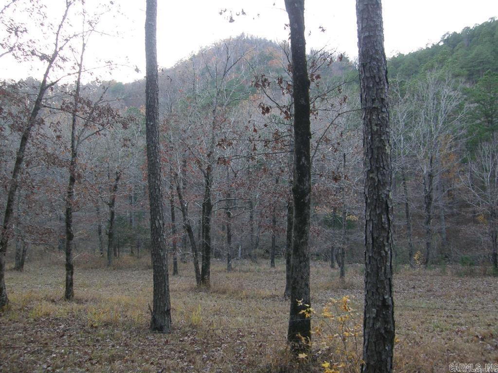 155 Shady Lane  Mena, AR