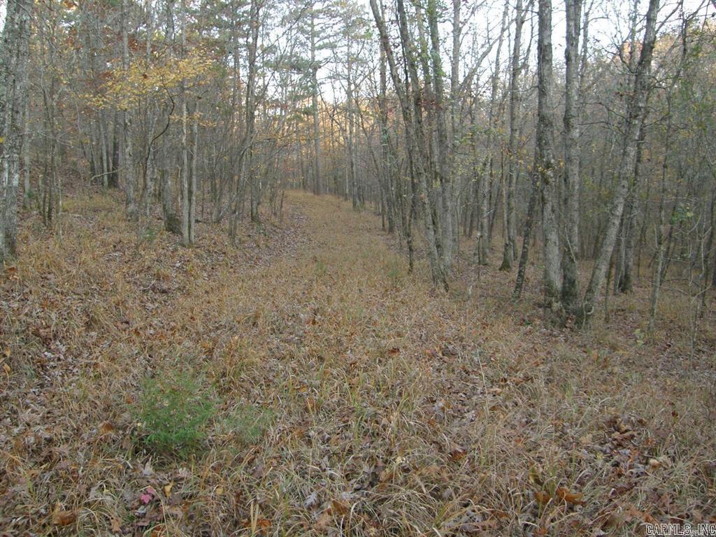 155 Shady Lane  Mena, AR