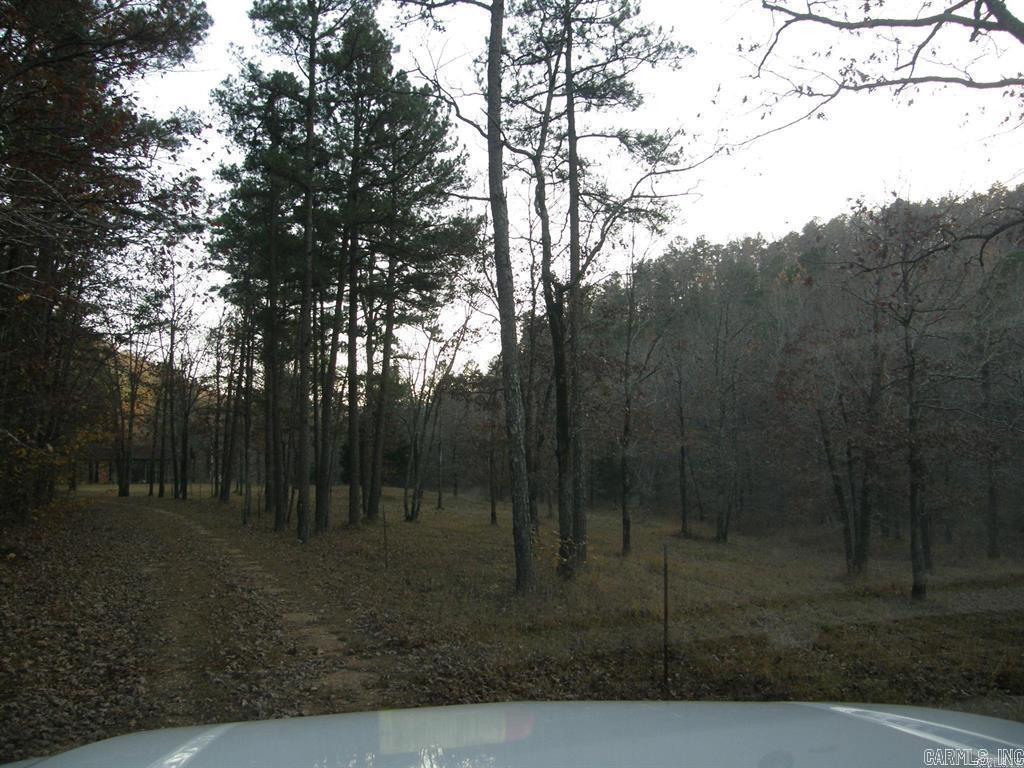 155 Shady Lane  Mena, AR