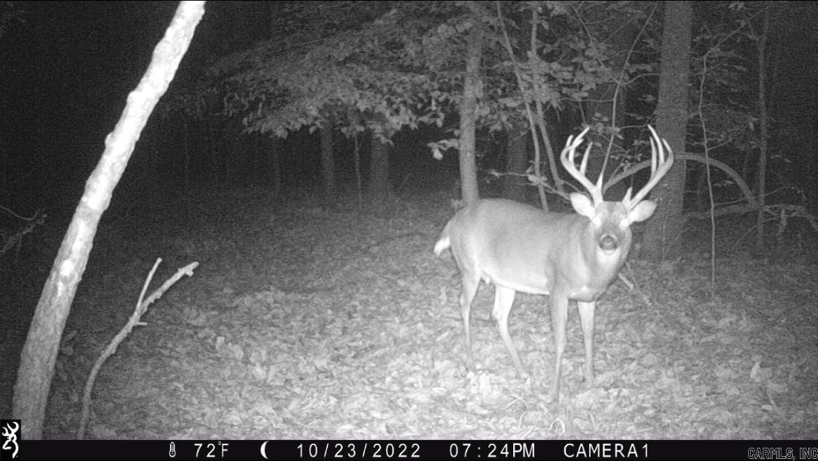 000 County Road 300  Cherry Valley, AR