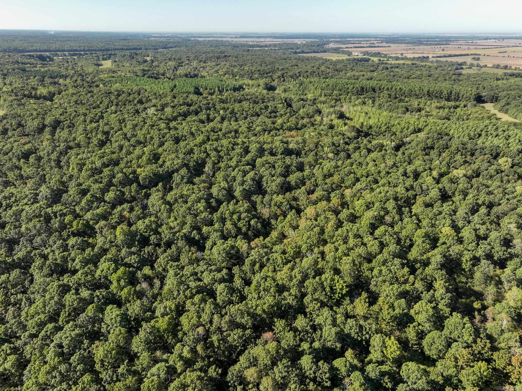 000 County Road 300  Cherry Valley, AR
