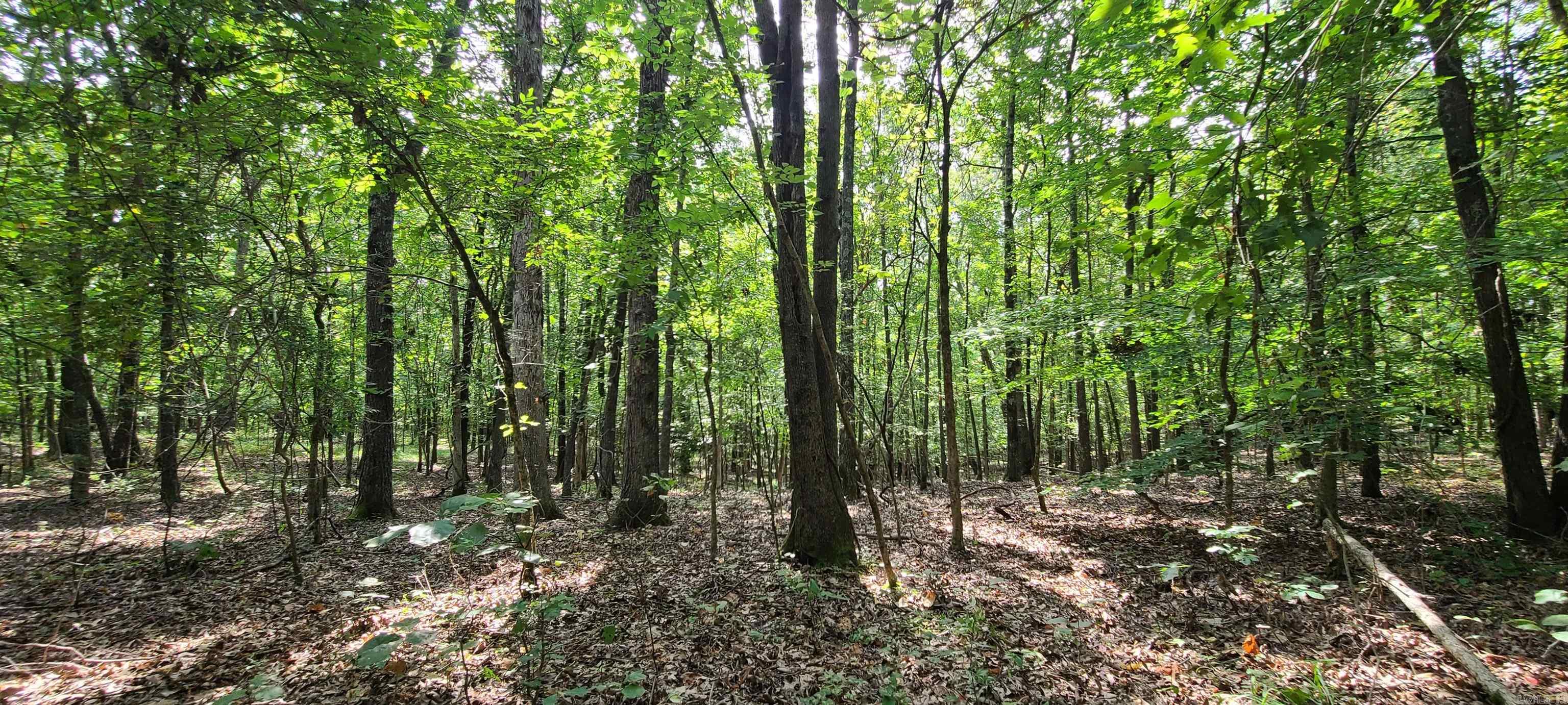 000 County Road 300  Cherry Valley, AR