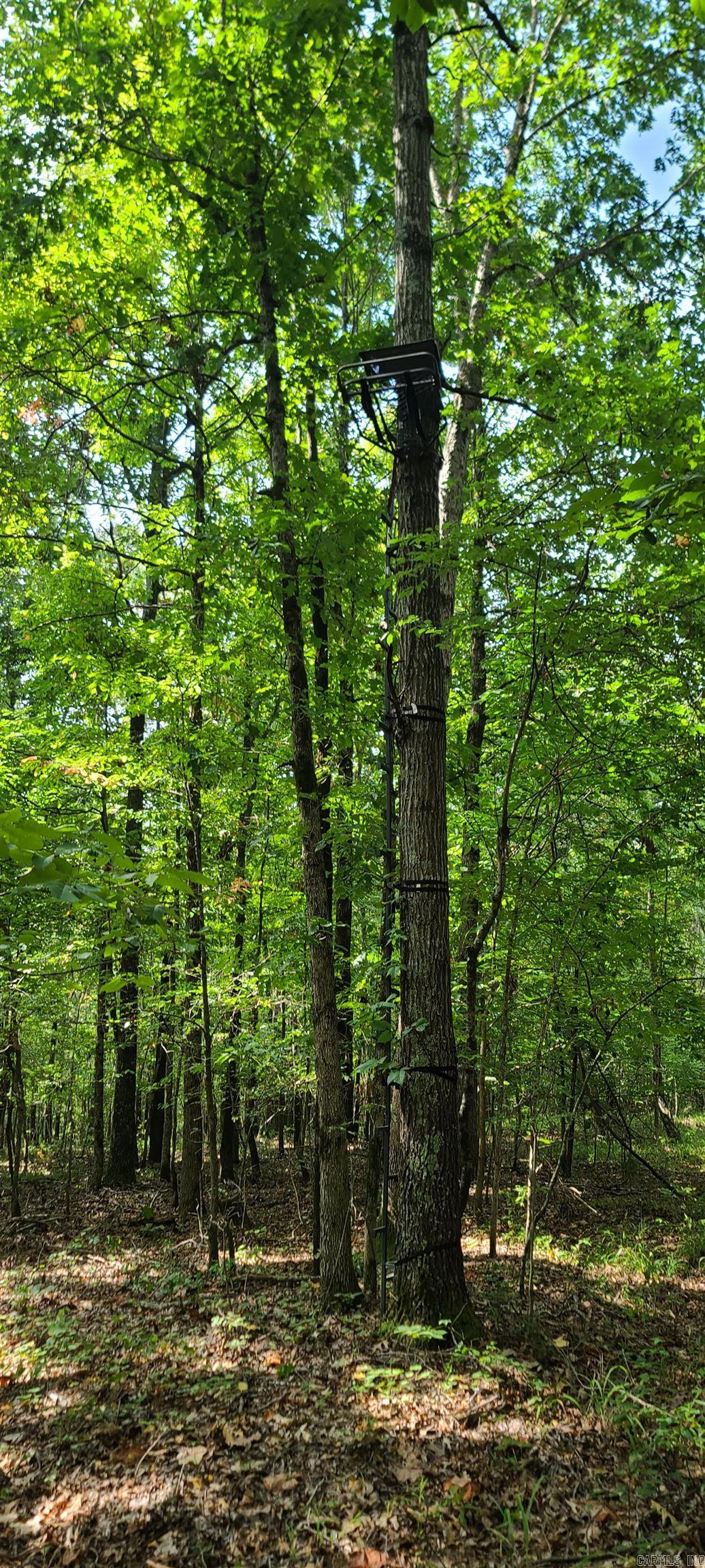 000 County Road 300  Cherry Valley, AR