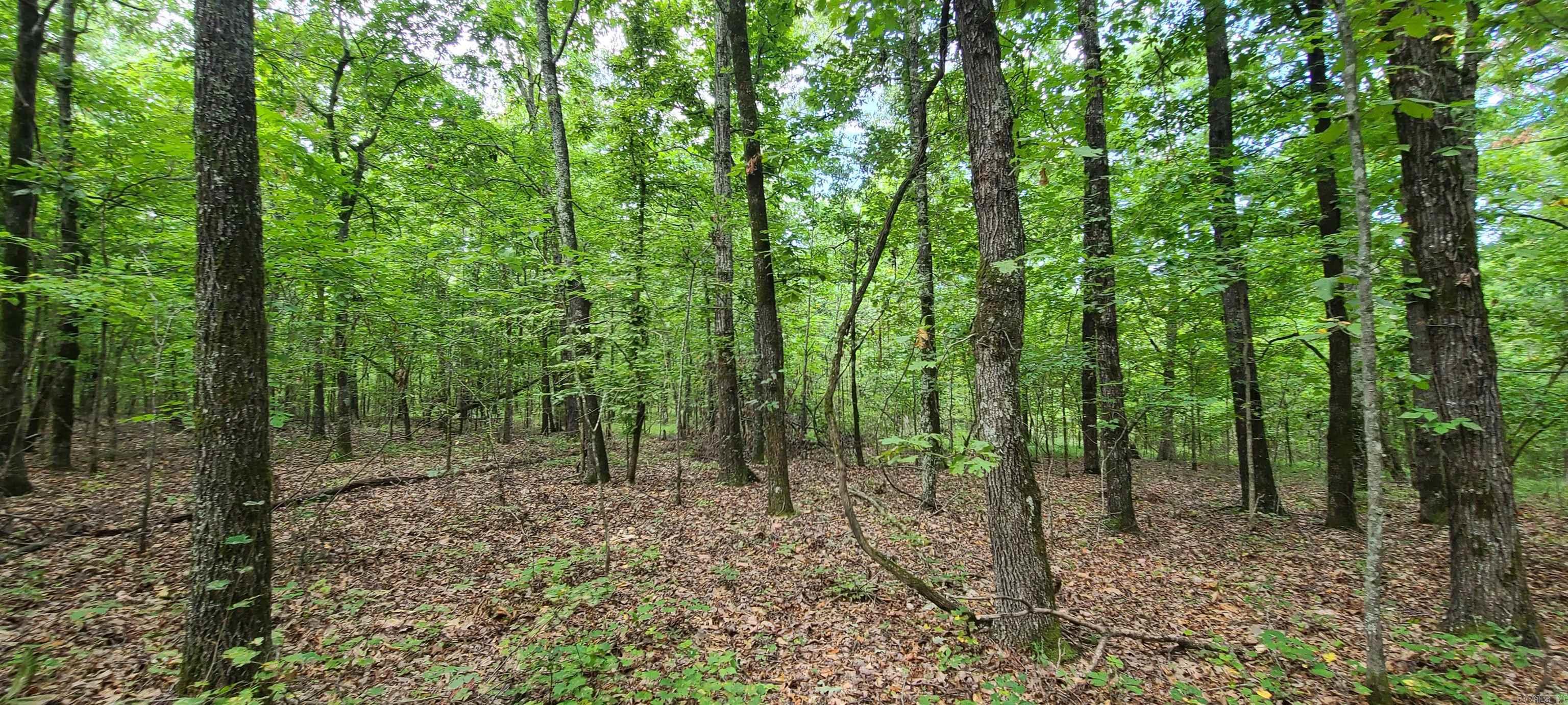 000 County Road 300  Cherry Valley, AR