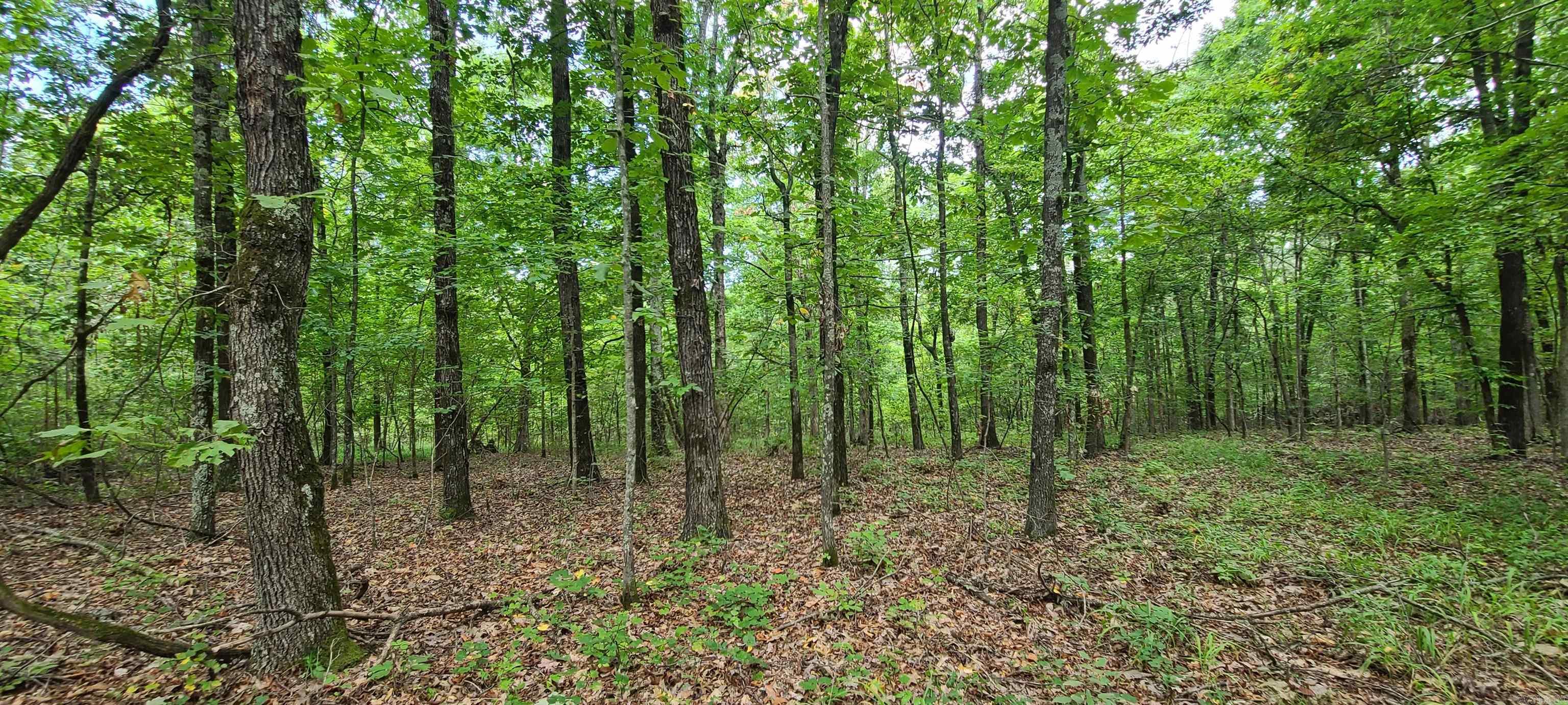 000 County Road 300  Cherry Valley, AR