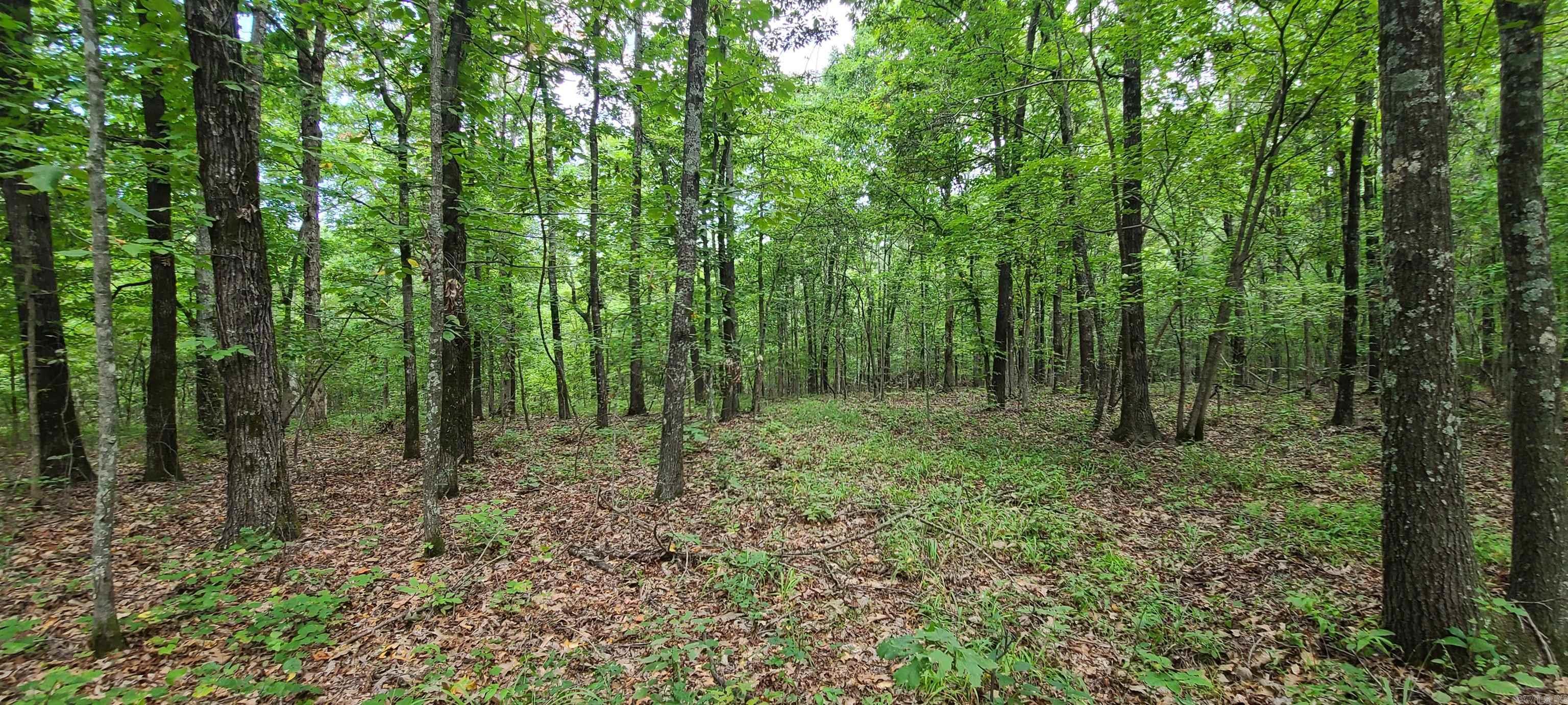 000 County Road 300  Cherry Valley, AR