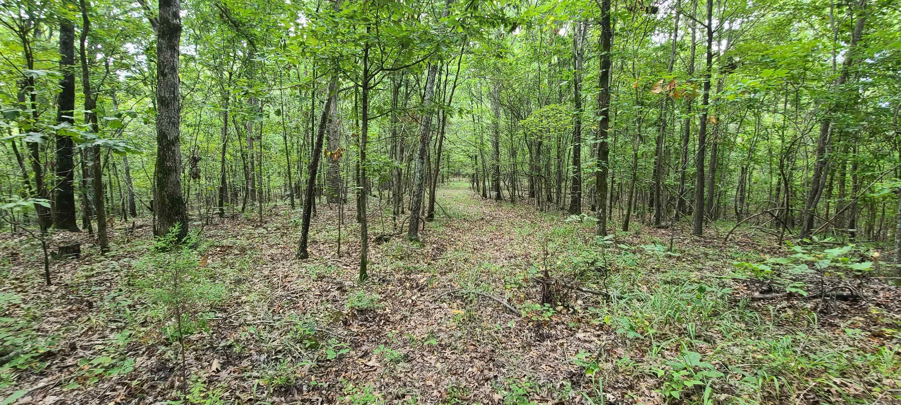 000 County Road 300  Cherry Valley, AR