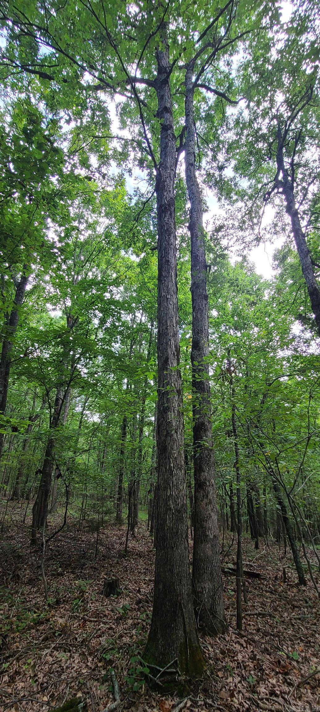 000 County Road 300  Cherry Valley, AR