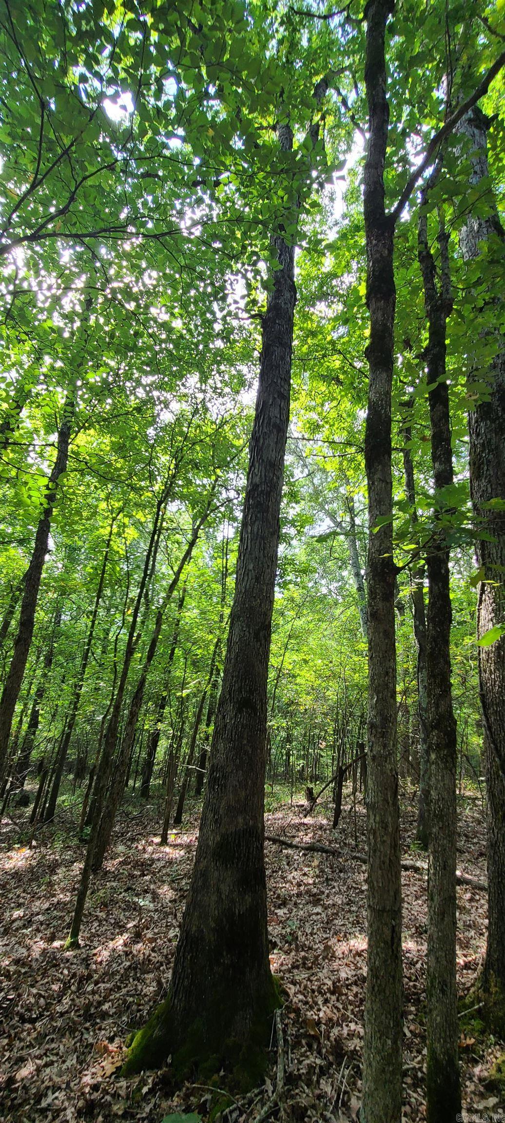 000 County Road 300  Cherry Valley, AR