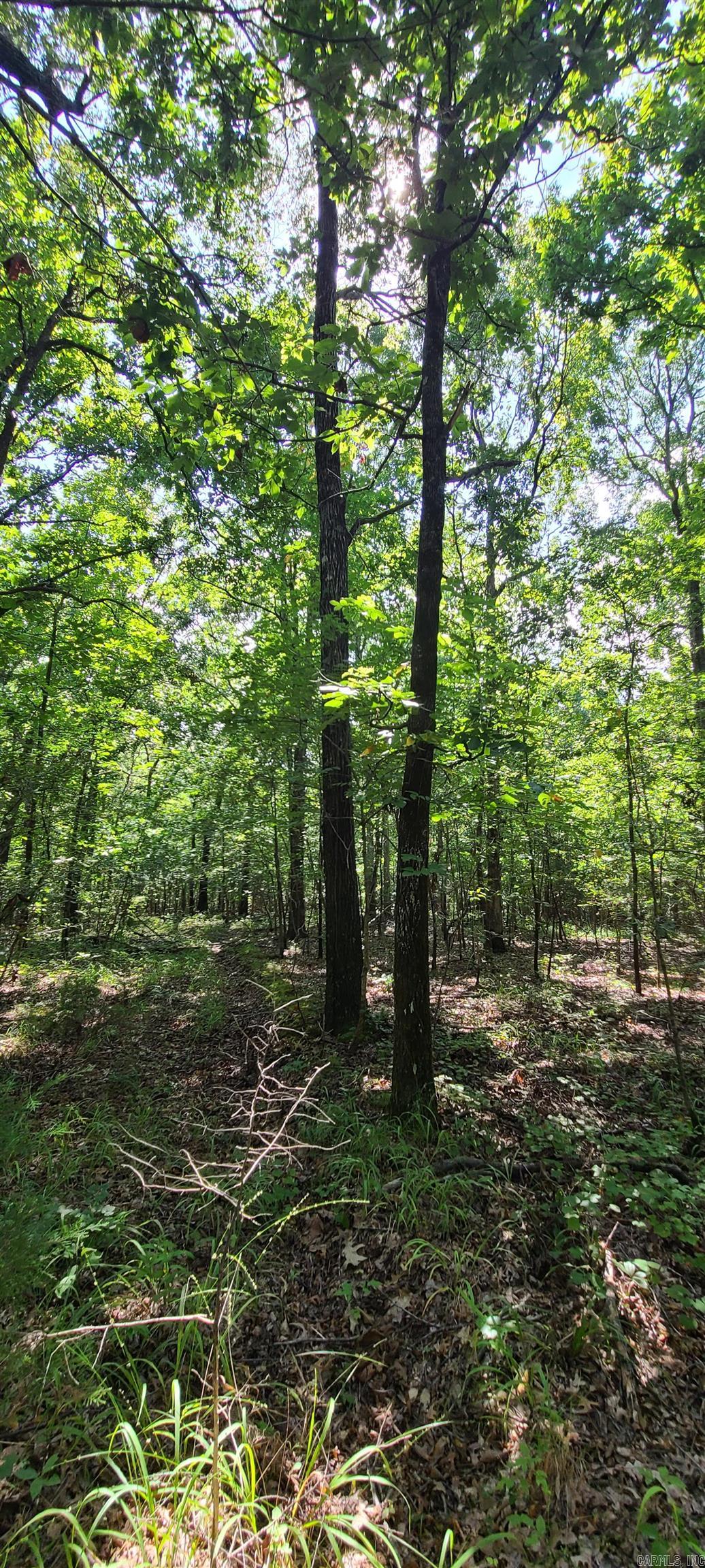000 County Road 300  Cherry Valley, AR