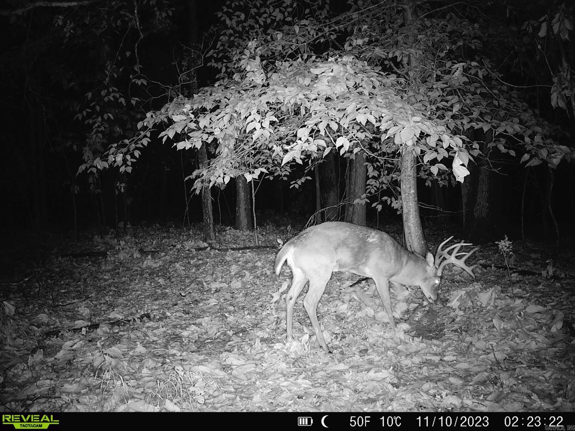 000 County Road 300  Cherry Valley, AR
