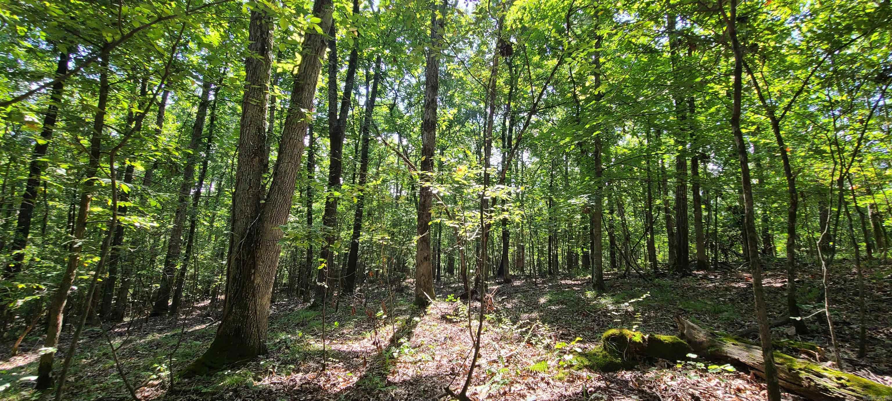 000 County Road 300  Cherry Valley, AR