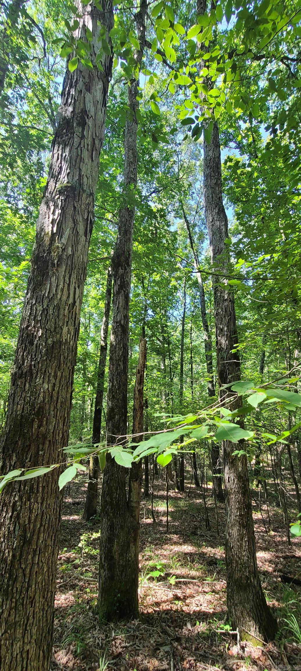 000 County Road 300  Cherry Valley, AR