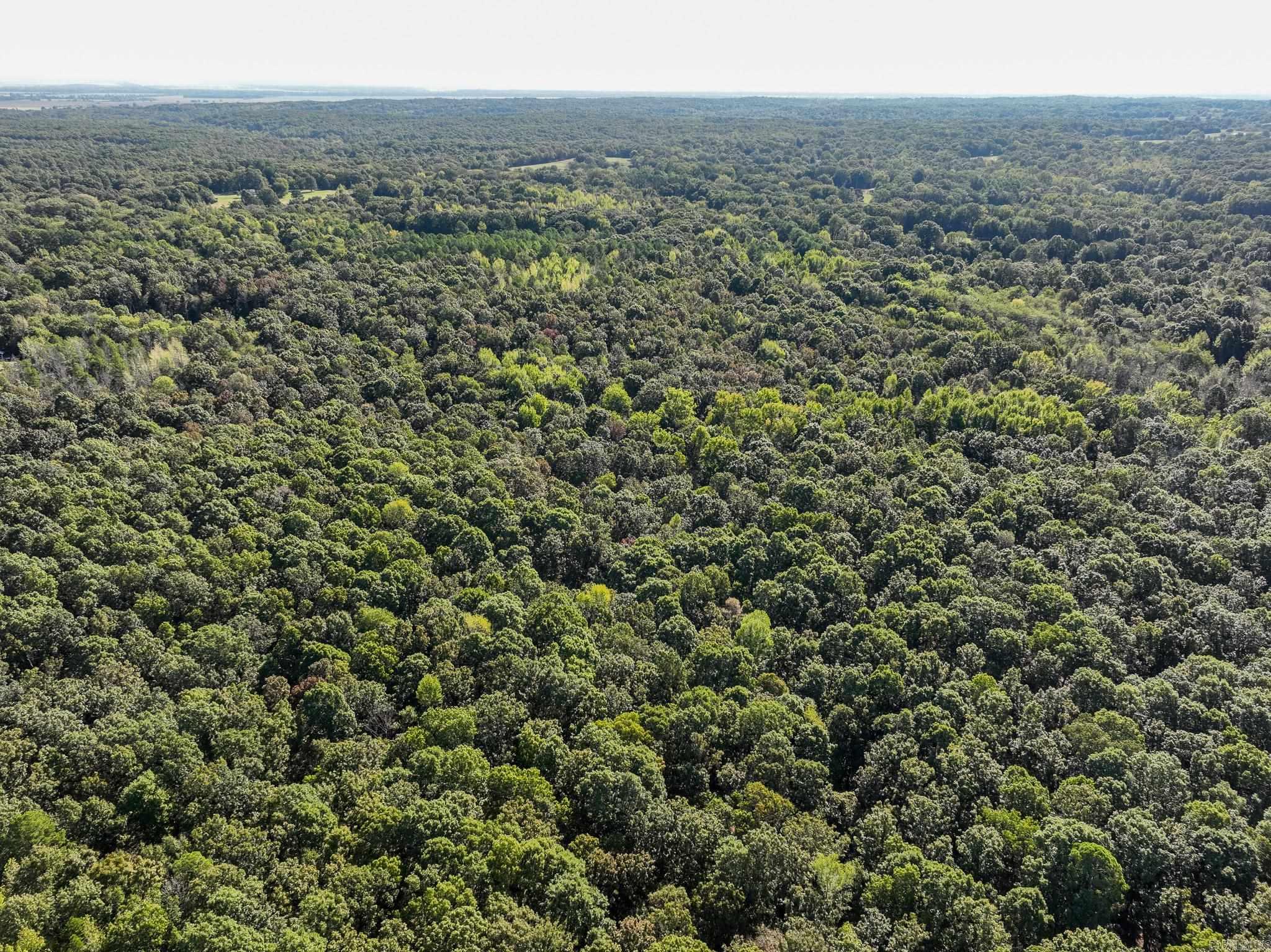 000 County Road 300  Cherry Valley, AR