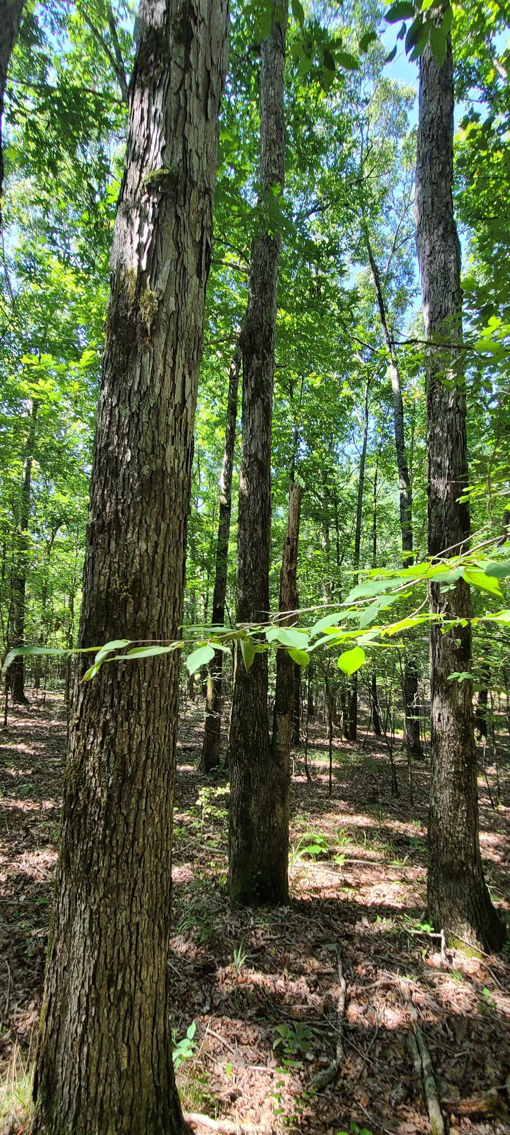 000 County Road 300  Cherry Valley, AR