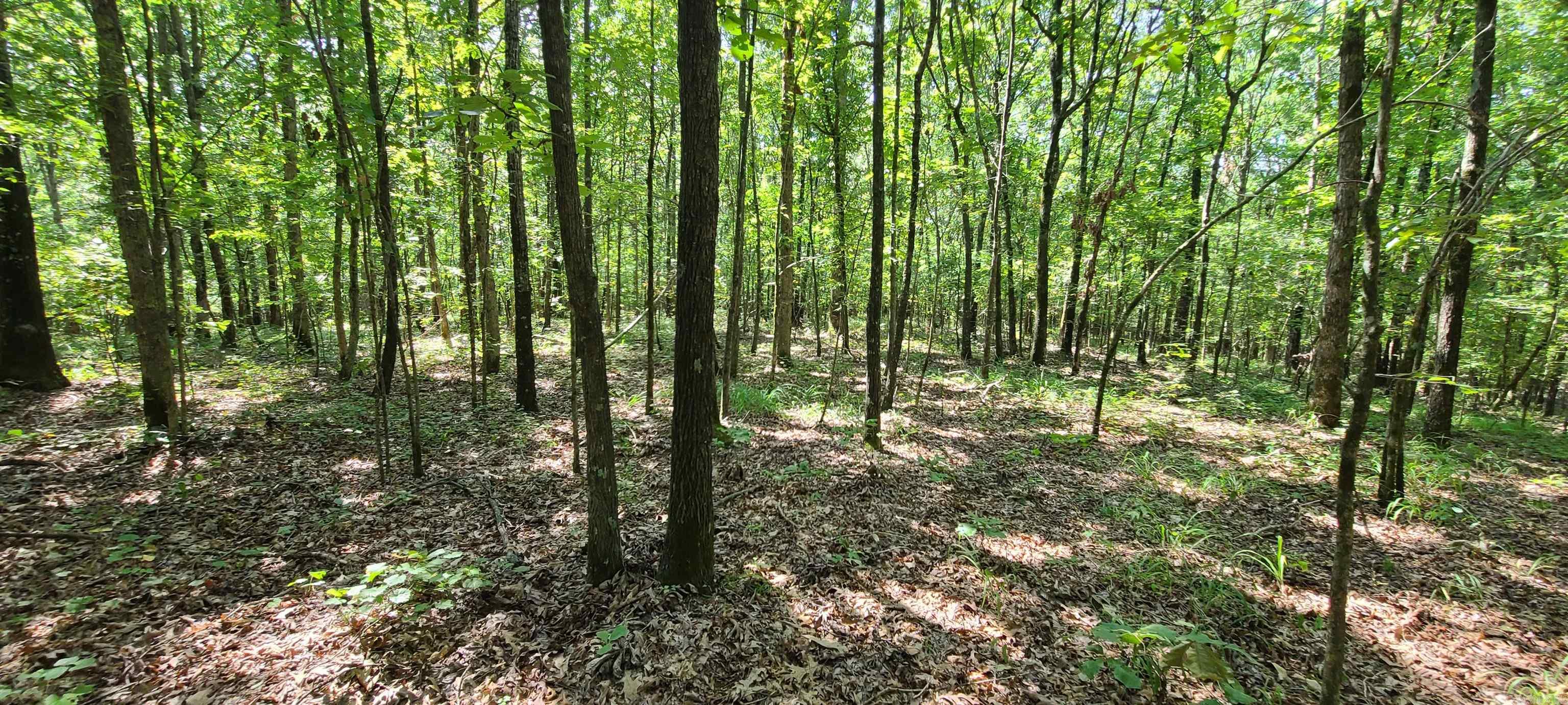 000 County Road 300  Cherry Valley, AR