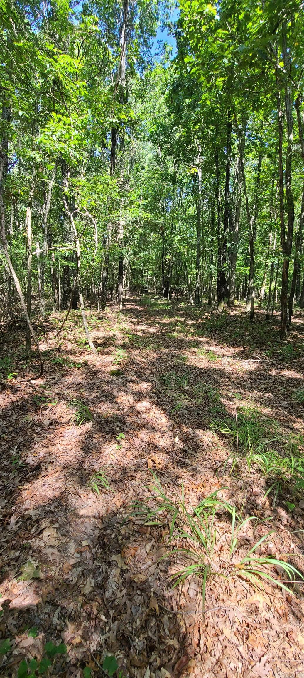 000 County Road 300  Cherry Valley, AR