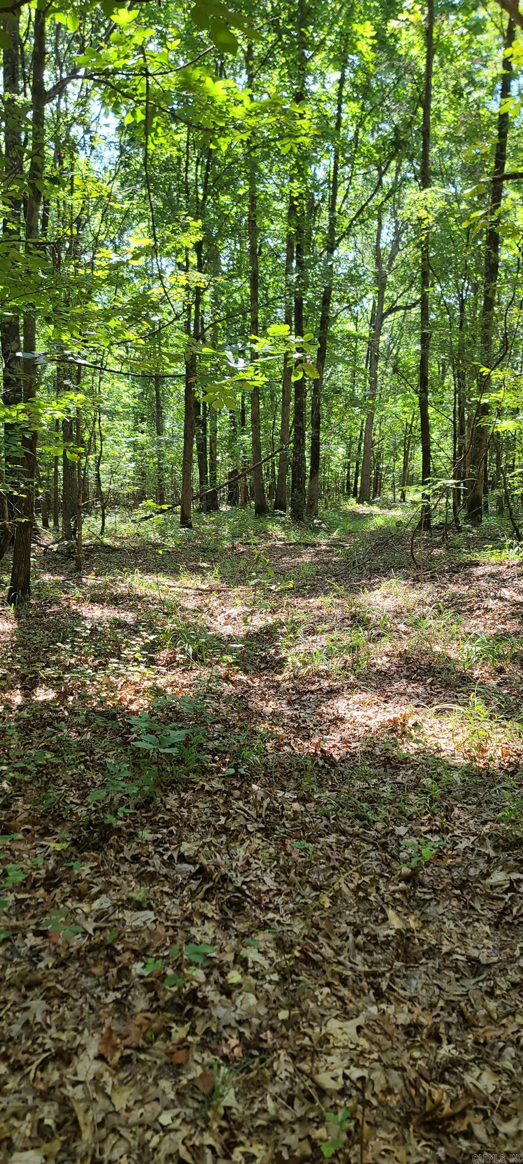000 County Road 300  Cherry Valley, AR