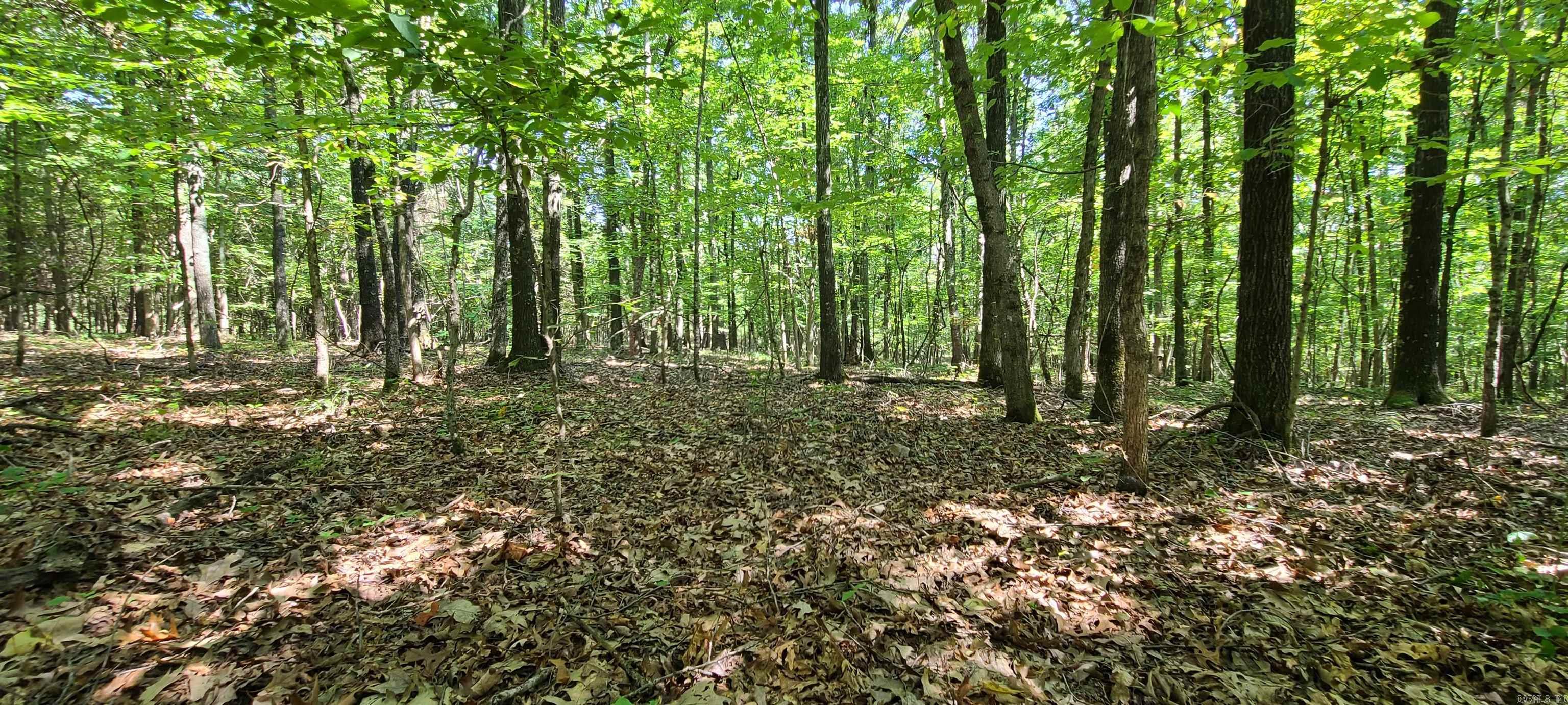 000 County Road 300  Cherry Valley, AR