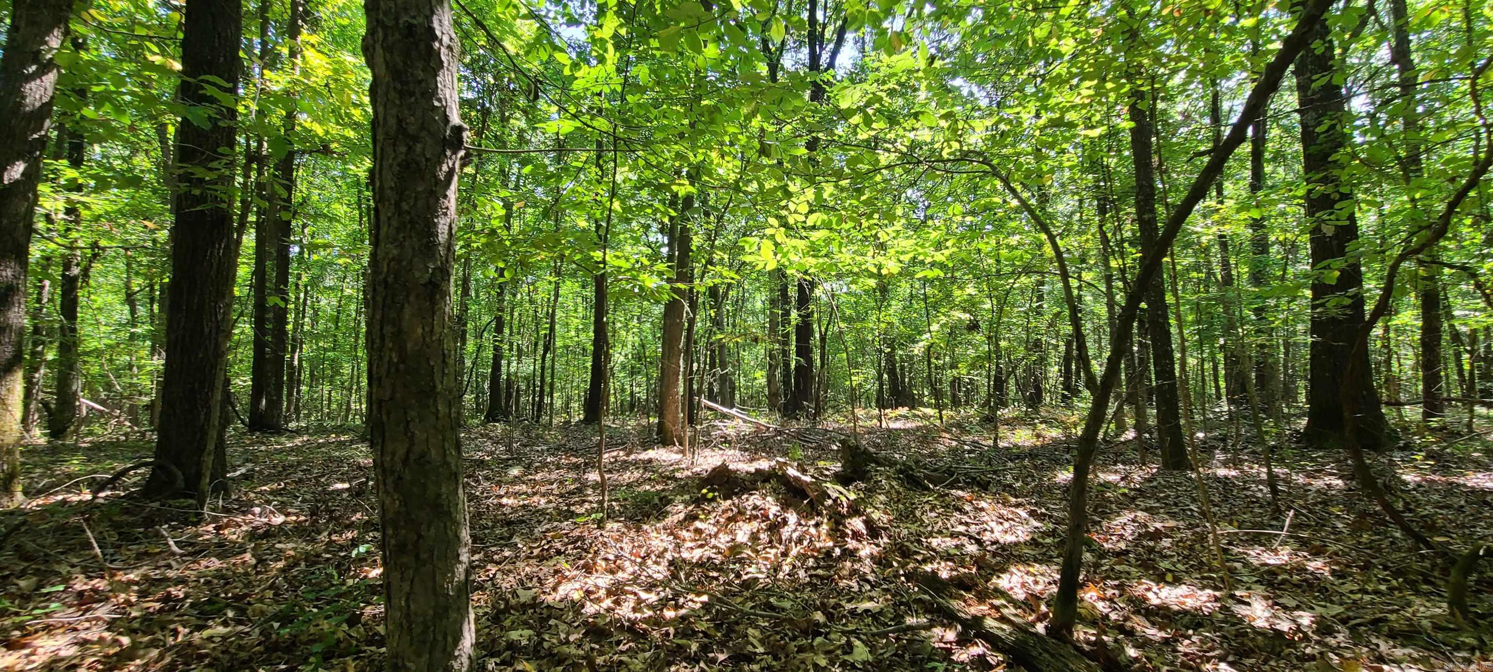 000 County Road 300  Cherry Valley, AR