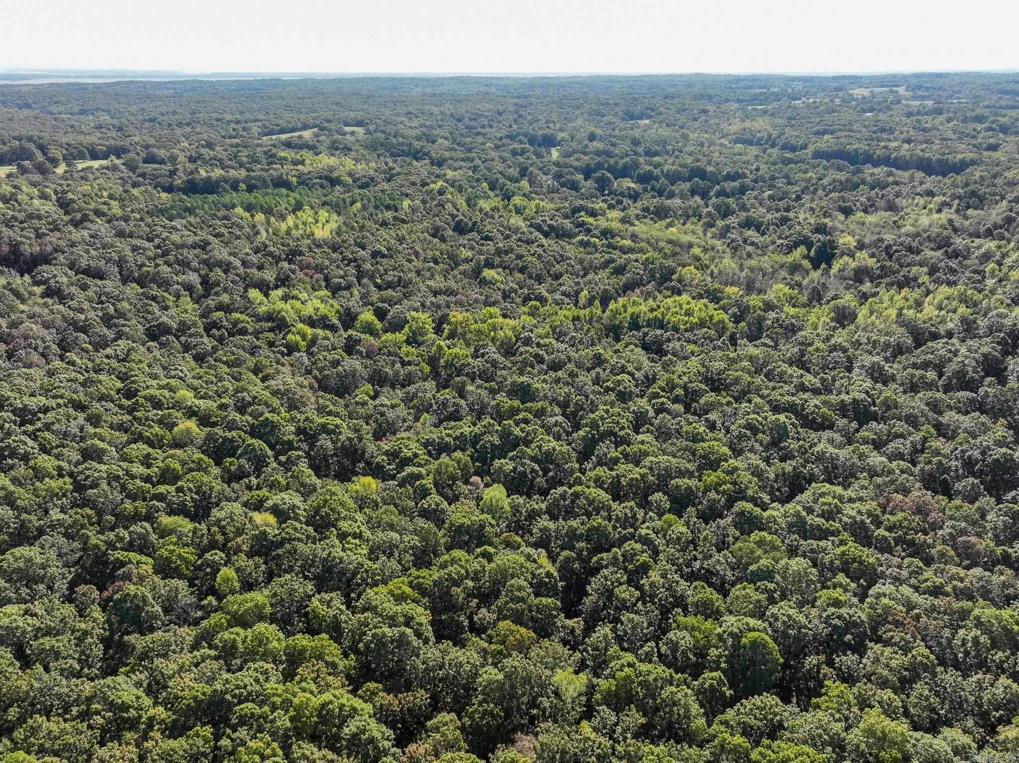000 County Road 300  Cherry Valley, AR