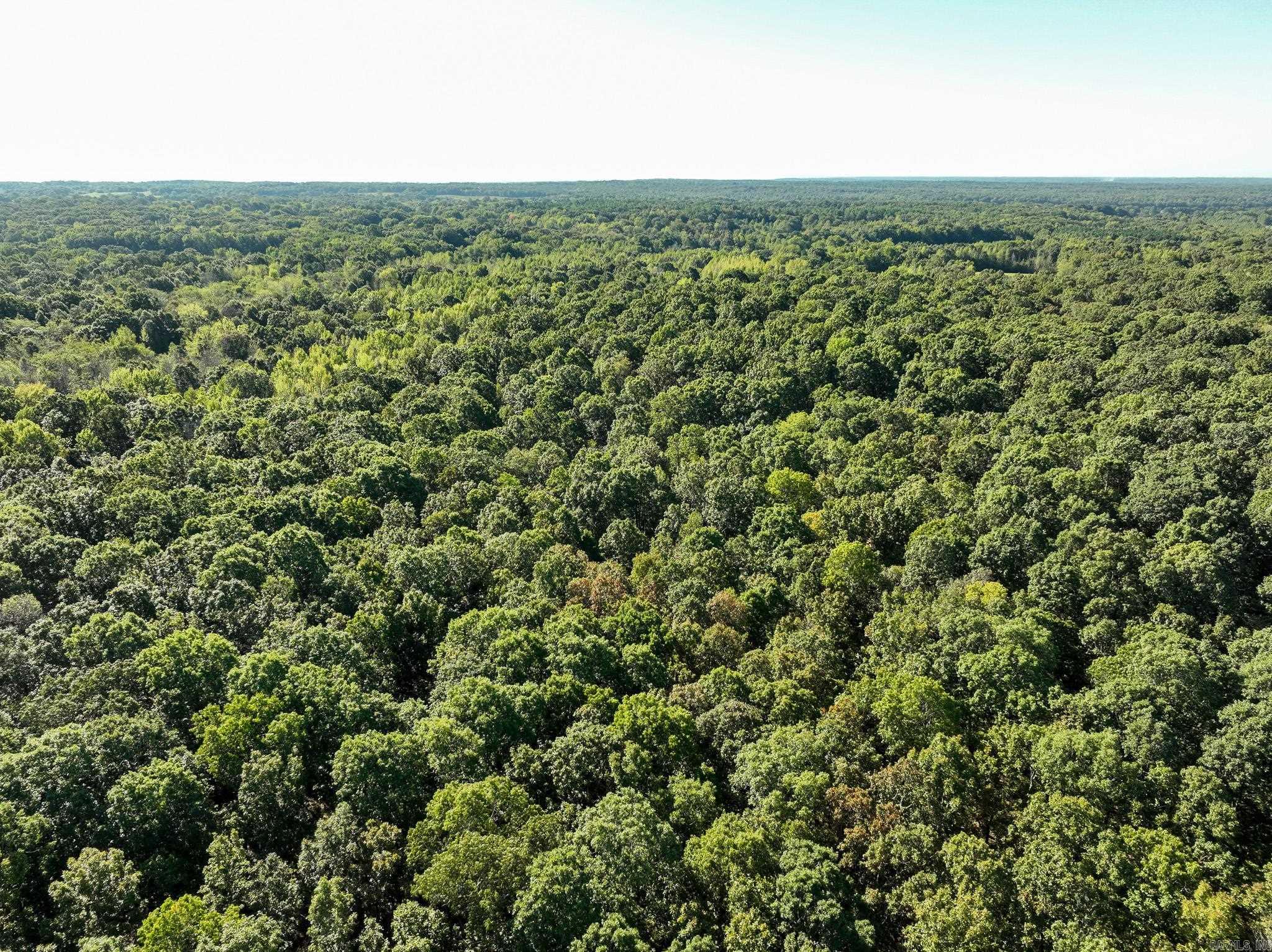 000 County Road 300  Cherry Valley, AR