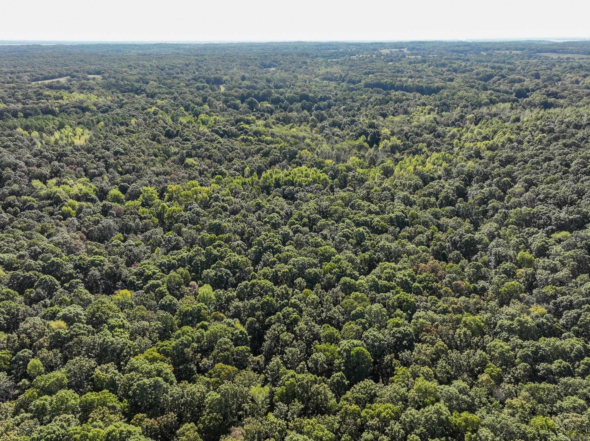 000 County Road 300  Cherry Valley, AR