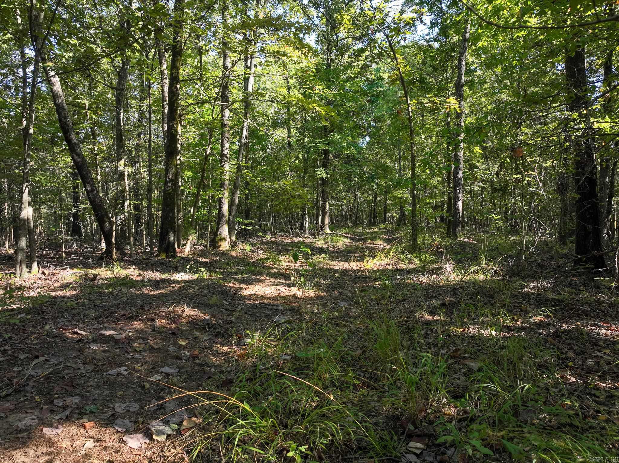 000 County Road 300  Cherry Valley, AR