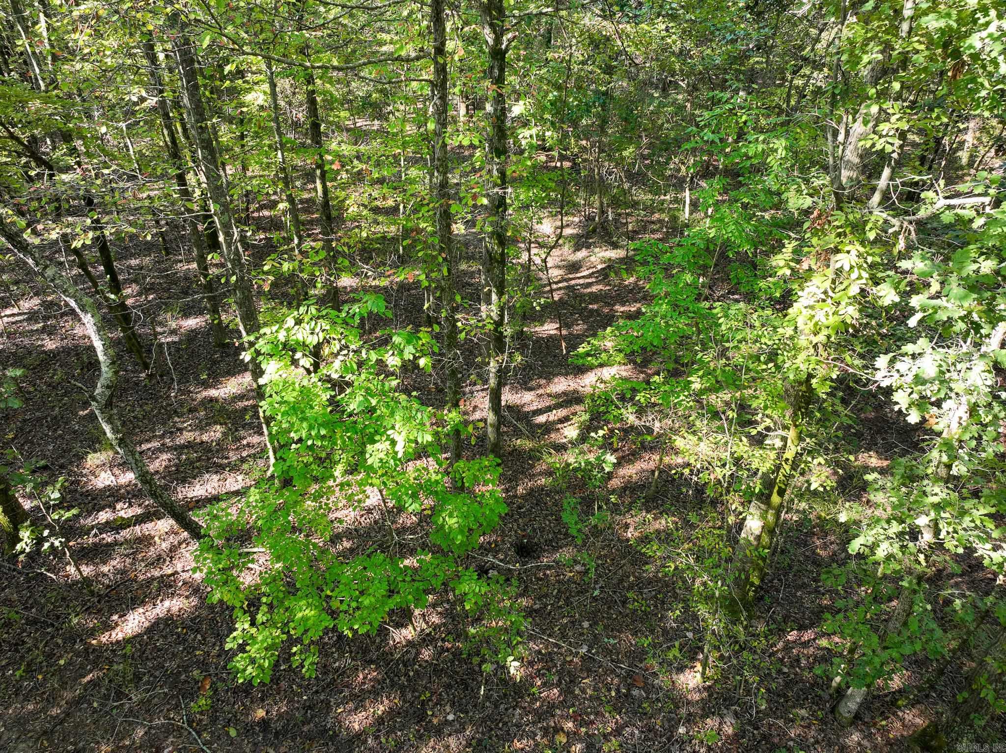000 County Road 300  Cherry Valley, AR