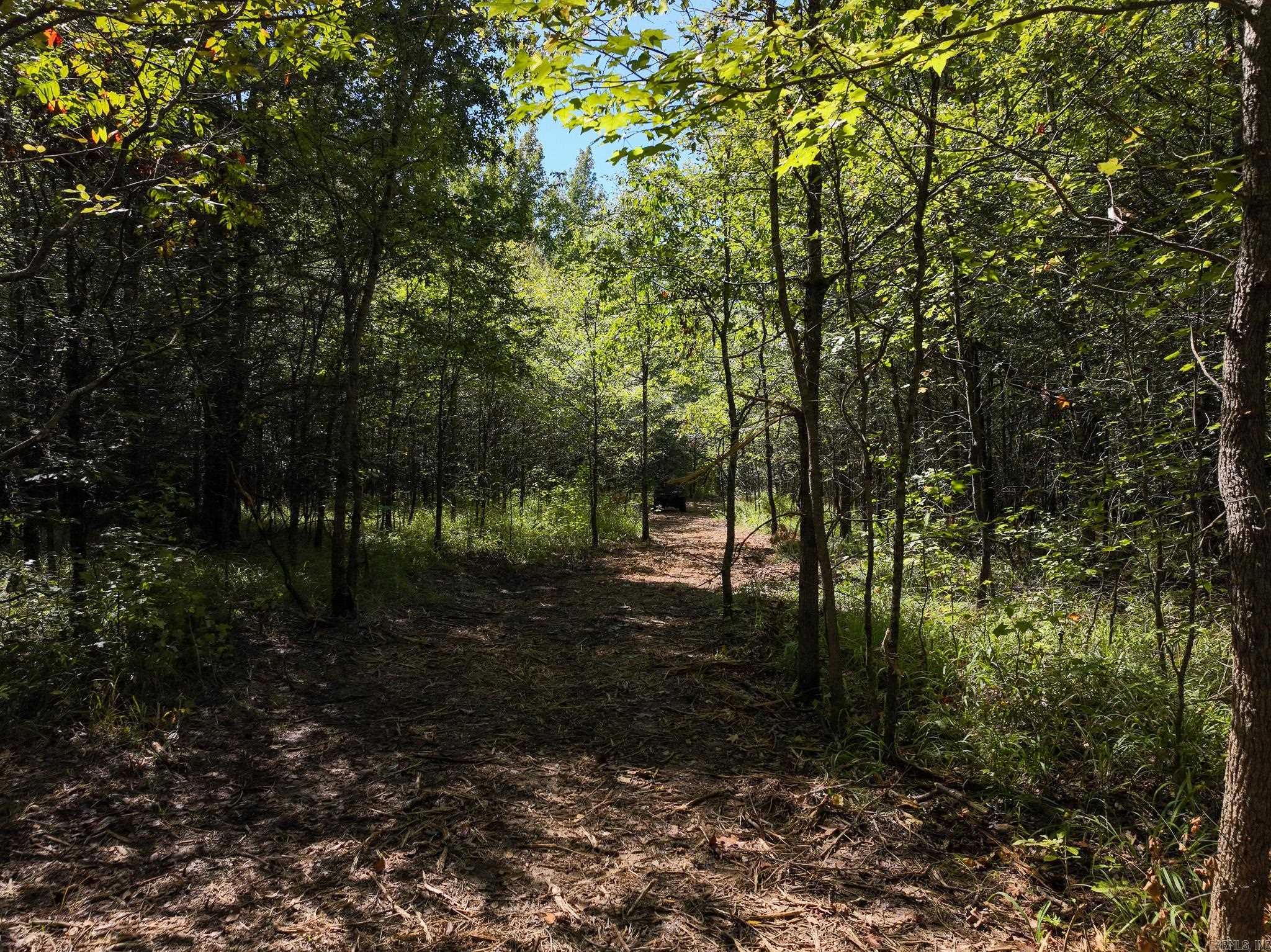 000 County Road 300  Cherry Valley, AR