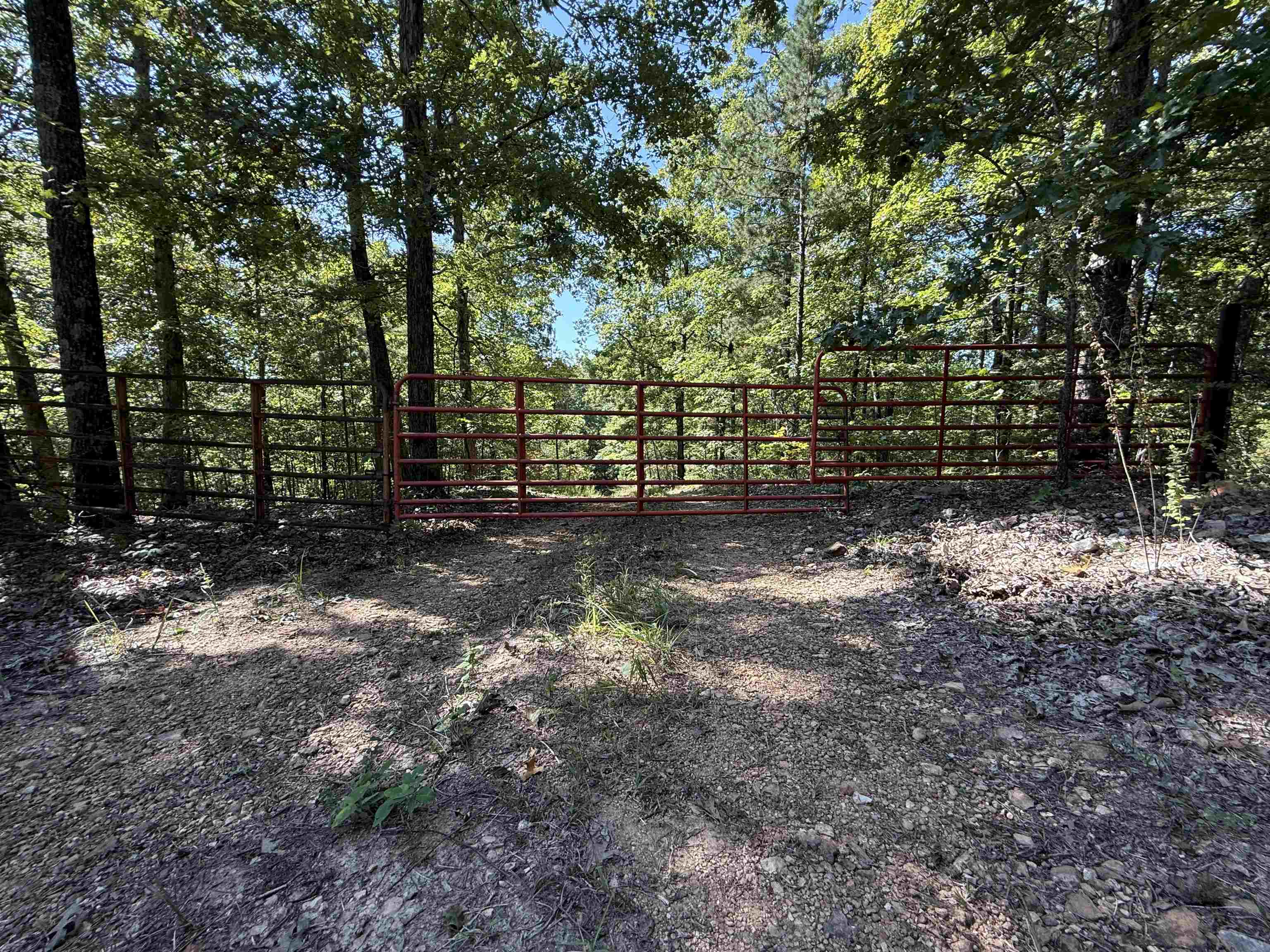 115A Greasy Bottom Road  Melbourne, AR