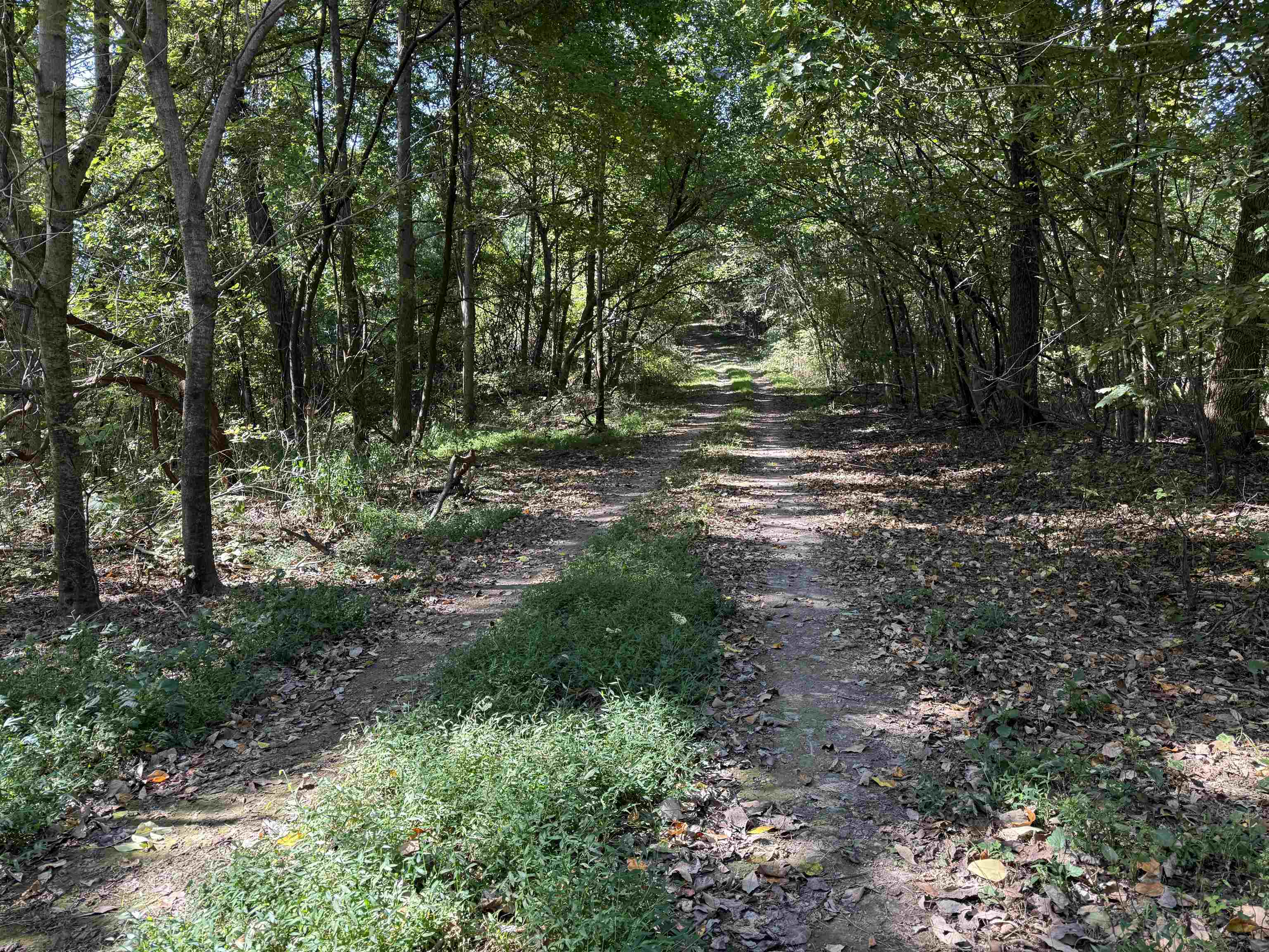 115A Greasy Bottom Road  Melbourne, AR