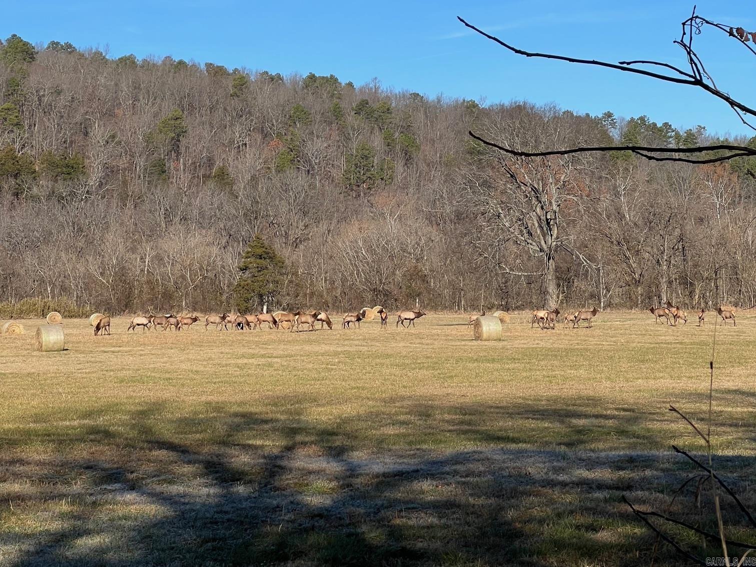 1141 Wafted Lane Tract 5 Marshall, AR 72650