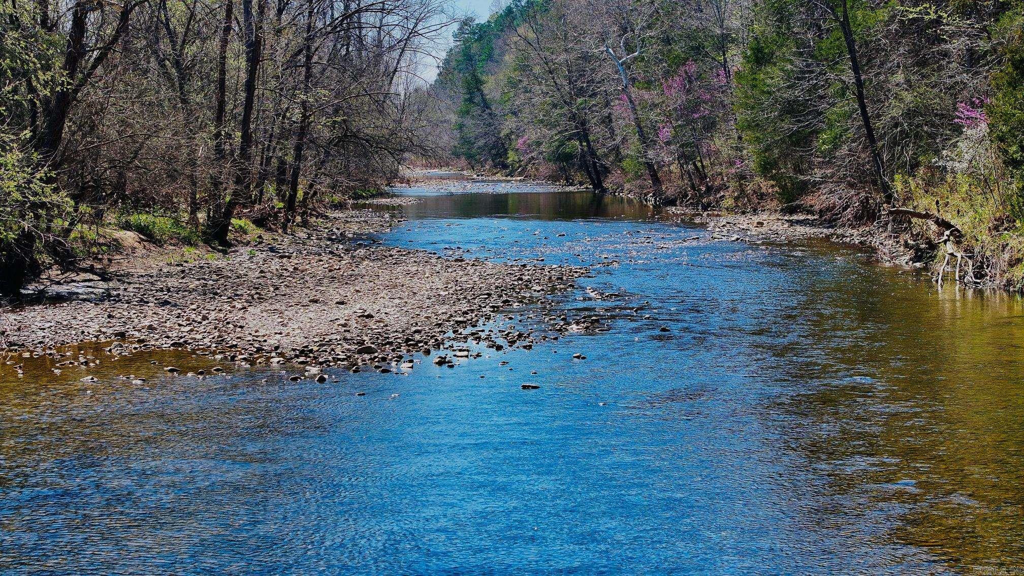 1141 Wafted Lane Tract 3 Marshall, AR 72650