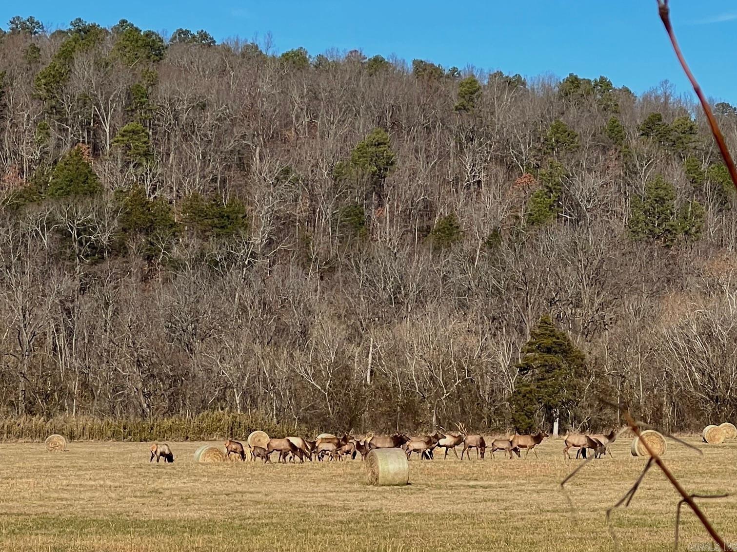 1141 Wafted Lane Tract 1 Marshall, AR 72650