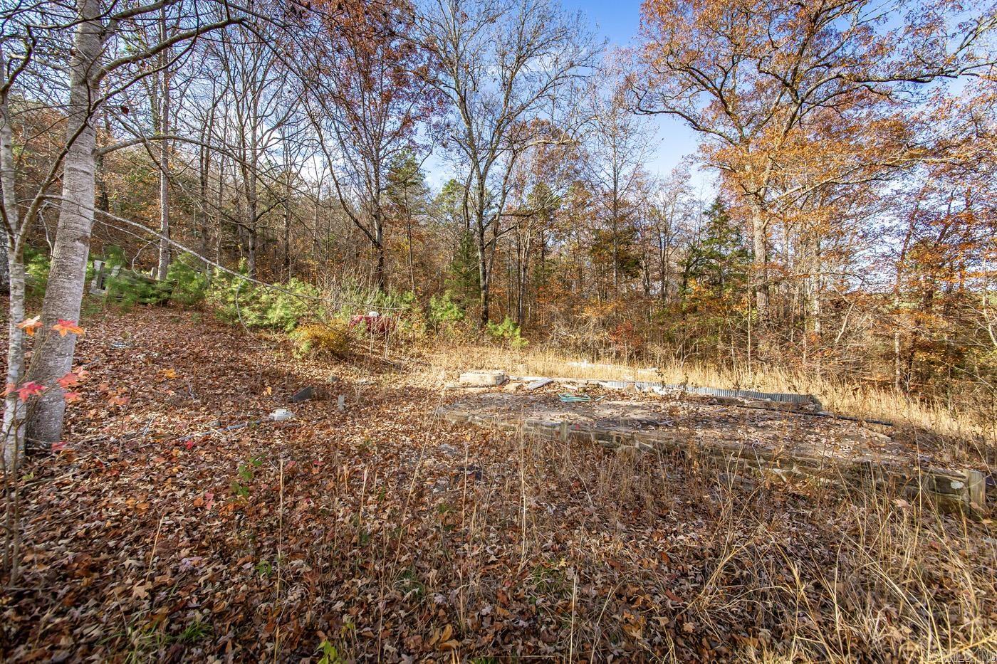 450 Raven  Shirley, AR