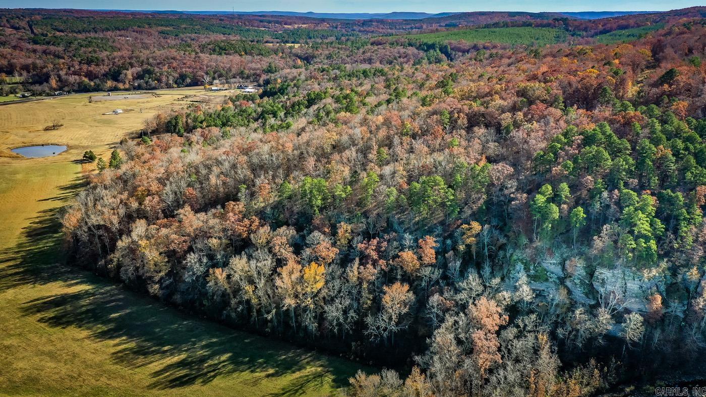 450 Raven  Shirley, AR