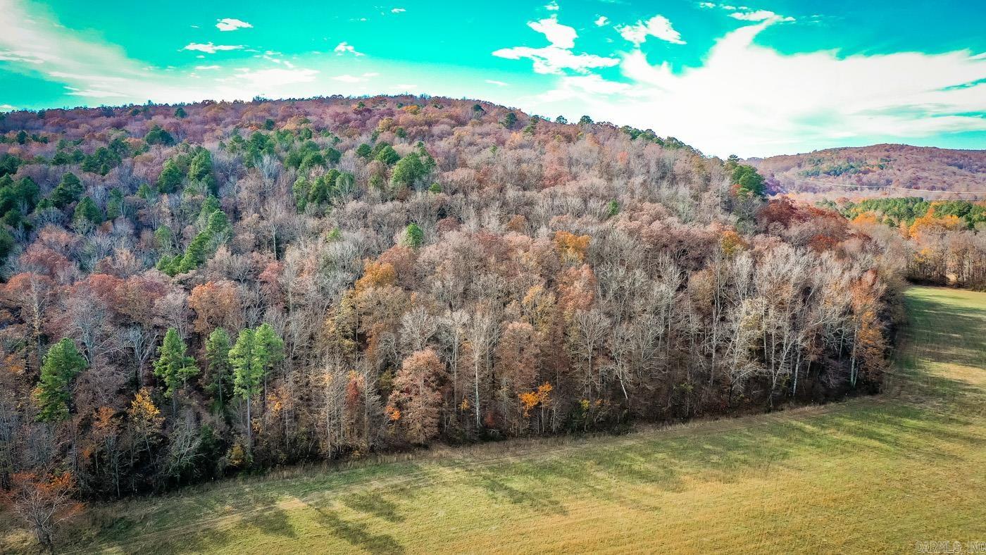450 Raven  Shirley, AR
