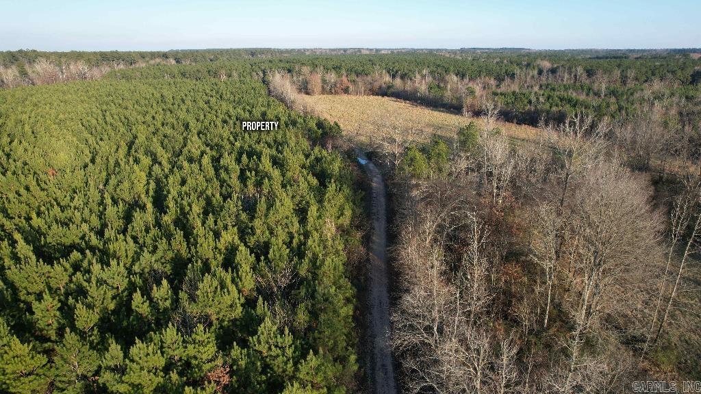 163 Ellison  Rison, AR