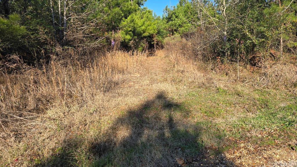 163 Ellison  Rison, AR
