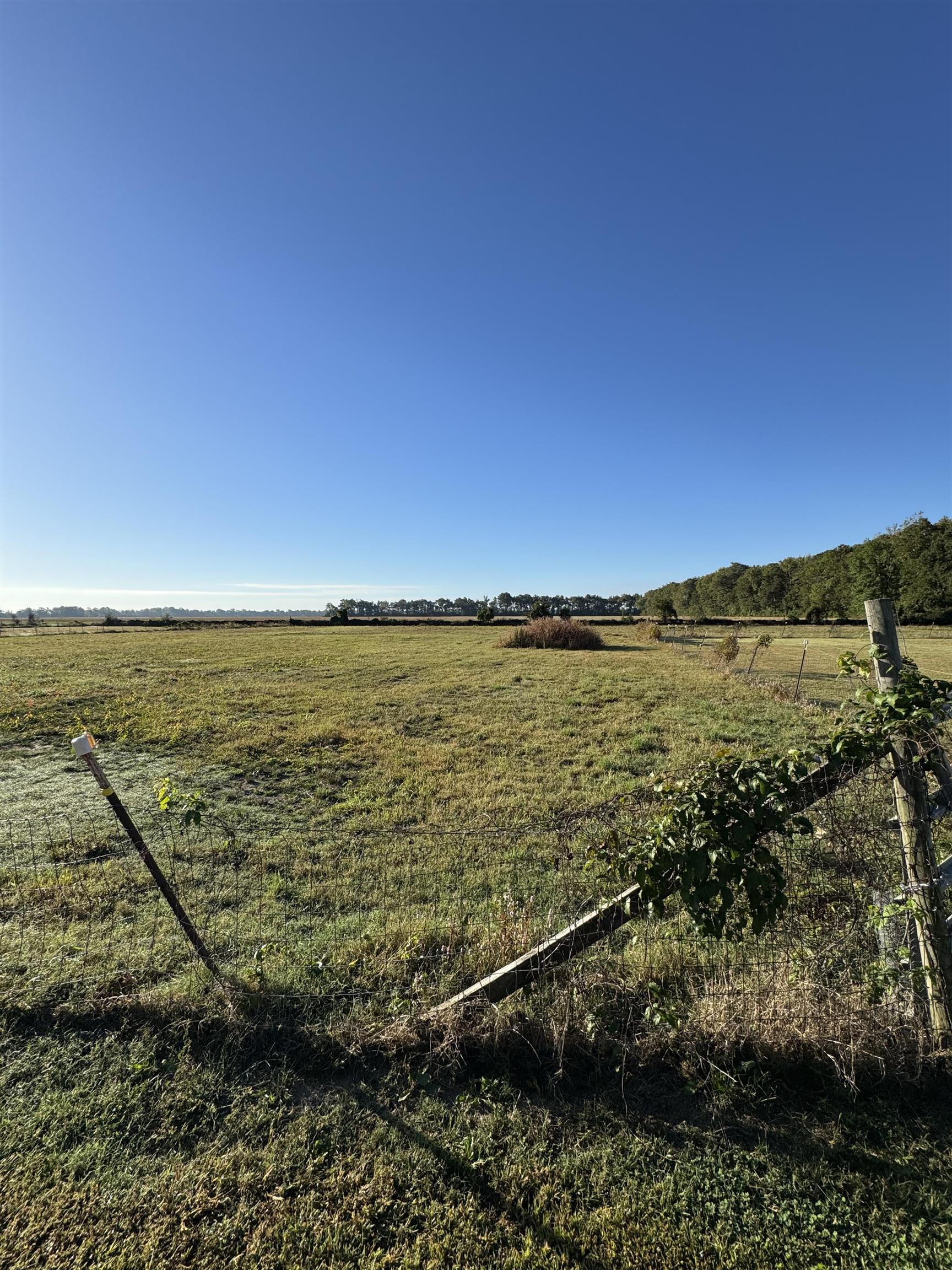 38142 E Hwy 140  Marked Tree, AR