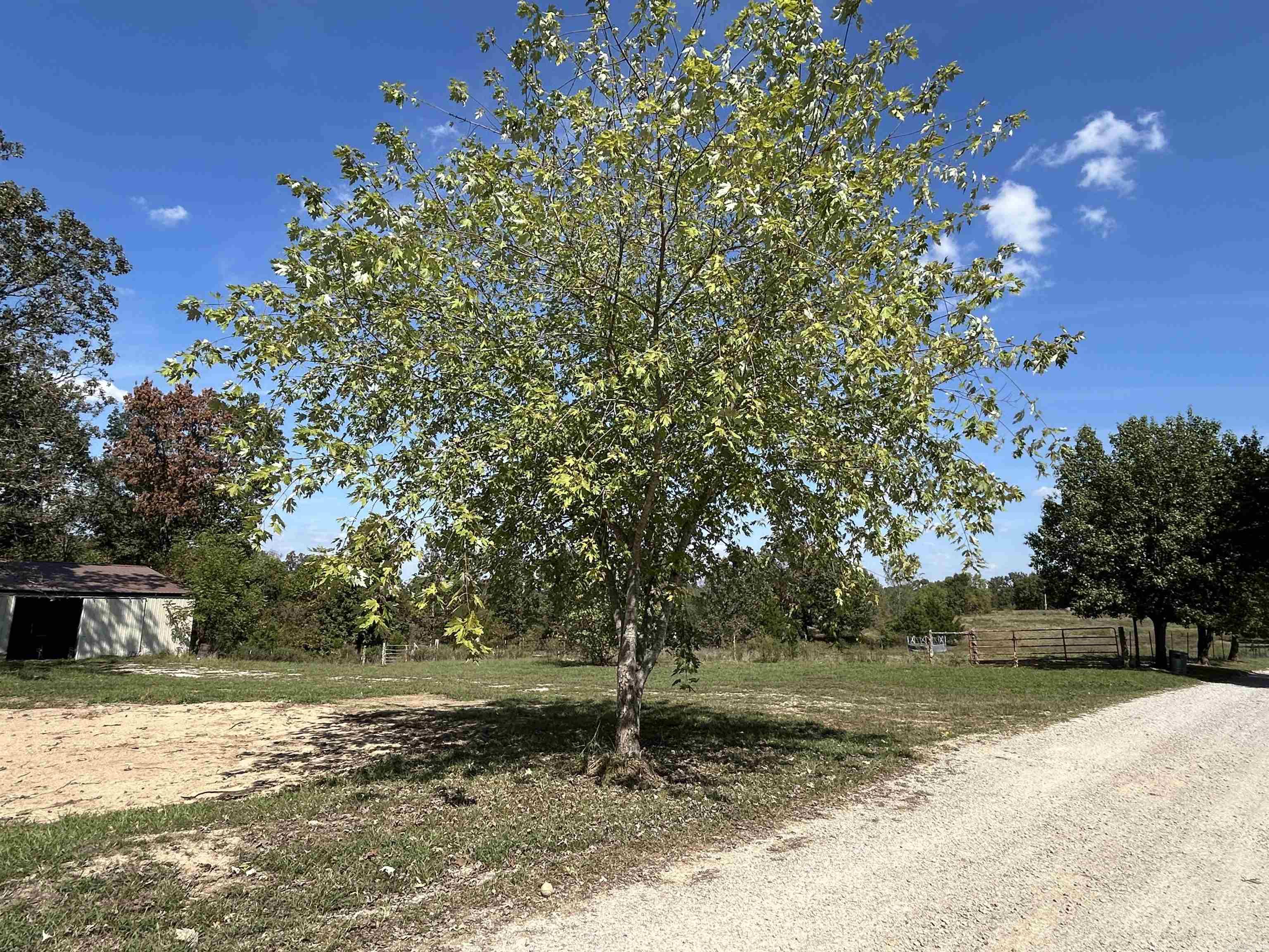 4150 County Road 7480  West Plains, MO, MO