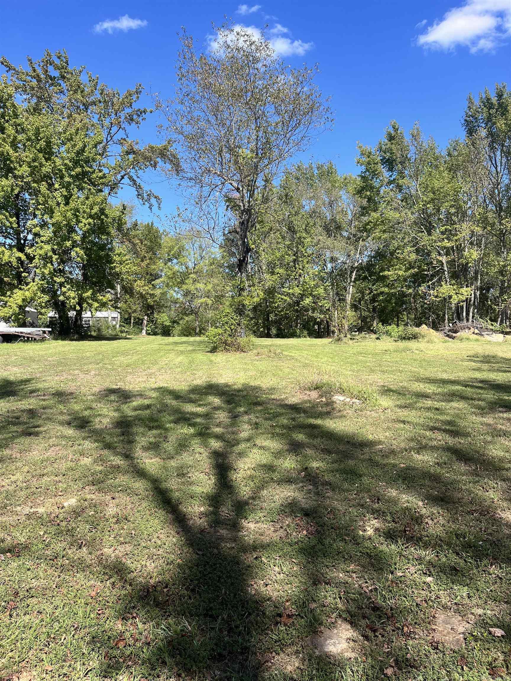 468 Park  Desha, AR