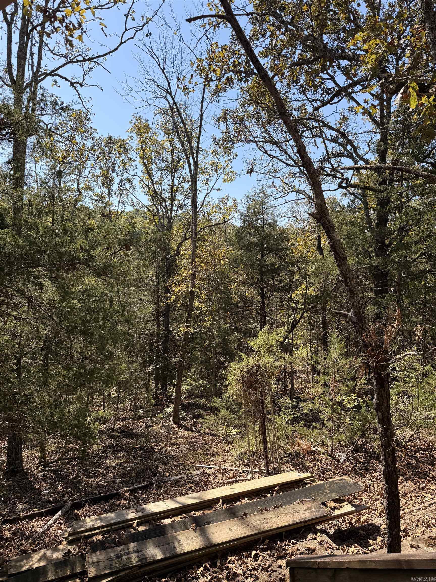 119 Edna  Highland, AR